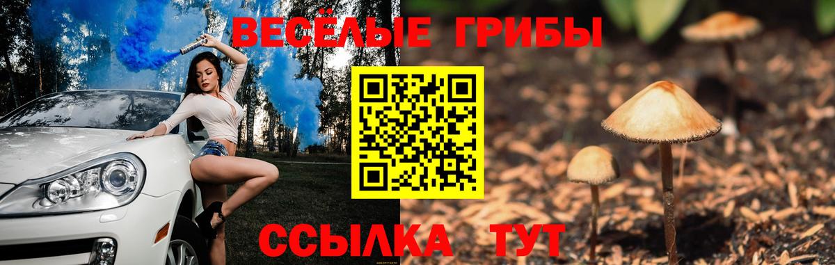 Галлюциногенные грибы ЛСД  Галлюциногенные грибы MAGIC MUSHROOMS  Вход с VPN  Мурманск 